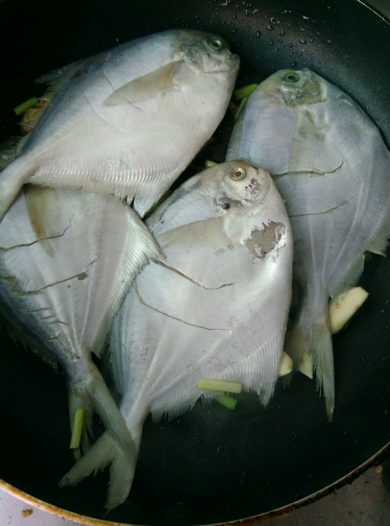 清炖晶鱼怎么做_清炖晶鱼的做法_豆果美食