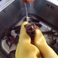 十三香小龙虾的做法图解4