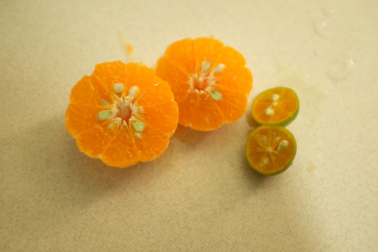 盐蒸橙子的做法_【图解】盐蒸橙子怎么做如何做好吃_盐蒸橙子家常做法大全_时间谎言_豆果美食