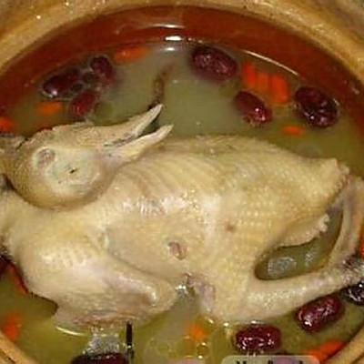 鸽子汤