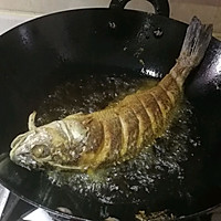 干烧美国红鱼的做法图解3