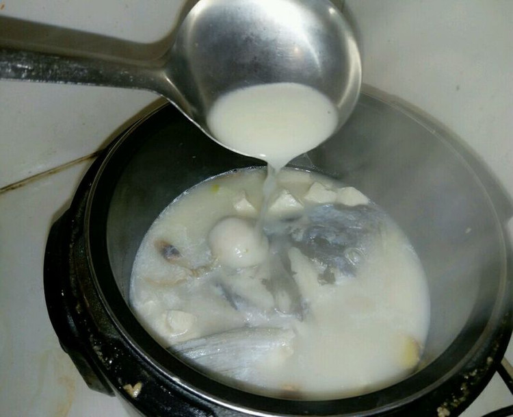 鱼头豆腐汤（奶白色的滋养）的做法