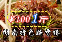 野香椿腌萝卜，市价100元/斤香椿竟然还可以这么吃？的做法