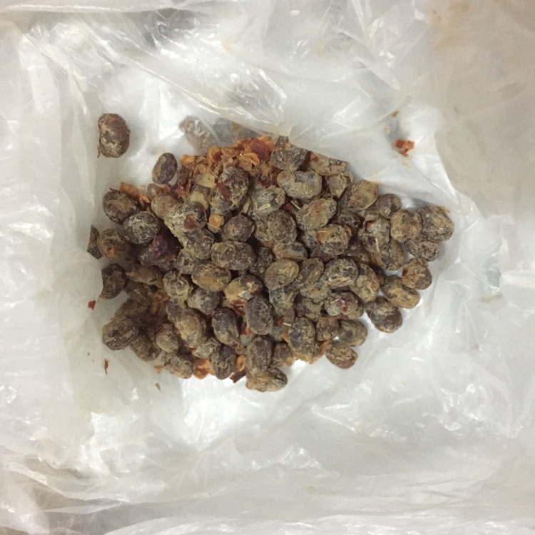 湖南口味小炒肉的做法图解4