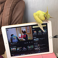 蛋糕胚的做法图解4
