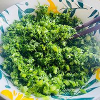 茴香饺子的做法图解4