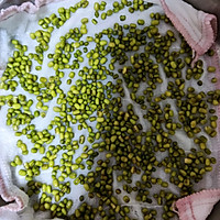 超简单的自发绿豆芽的做法图解2