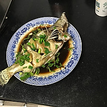 葱油清蒸桂鱼