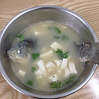 鲫鱼豆腐汤的做法图解7