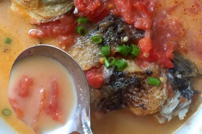 零失败西红柿鲫鱼汤 零失败西红柿鲫鱼汤