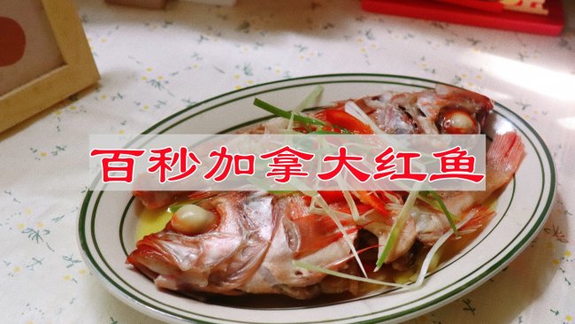 #豪吉小香风 做菜超吃香#百秒加拿大红鱼的做法