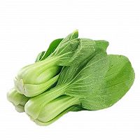 油菜炒香菇的做法图解1