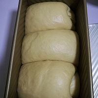奶茶吐司（一次发酵）的做法图解12