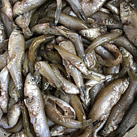 酥炸小河鱼的做法图解1