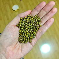 发豆芽的做法图解1