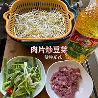 肉片炒豆芽的做法图解1
