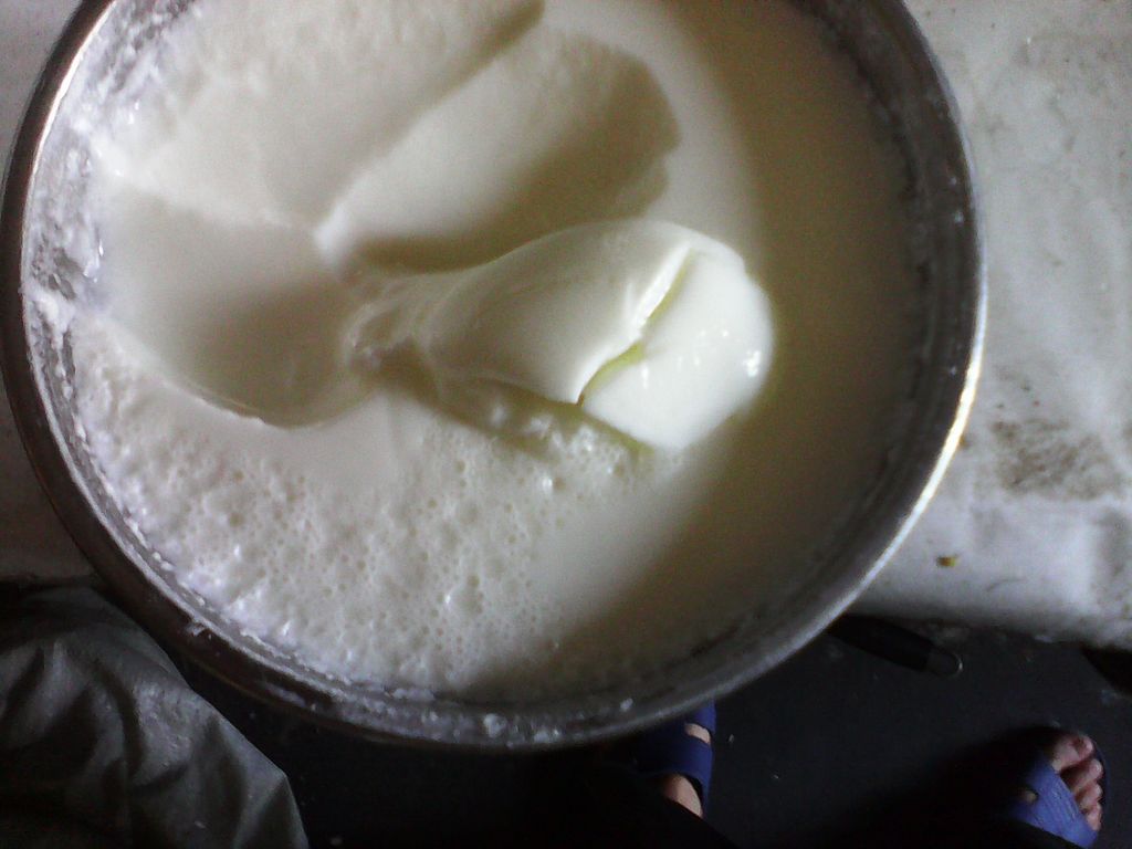 炒酸奶的做法_【图解】炒酸奶怎么做如何做好吃_炒酸奶家常做法大全_心言手语00_豆果美食