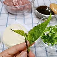 春味-桑叶饺#餐桌上的春日限定#的做法图解2