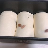 波兰种红提奶油吐司的做法图解12