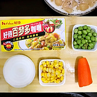 日式咖喱土豆鸡肉盖饭#奇妙咖喱，拯救萌娃食欲#的做法图解9