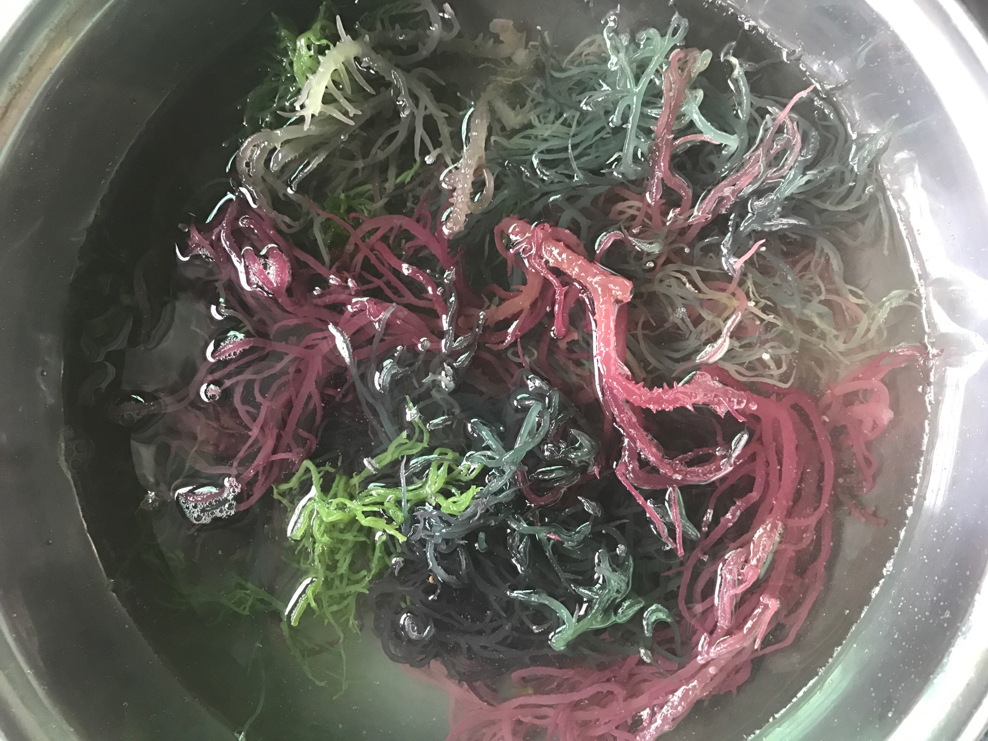 凉拌螺旋海藻怎么做_凉拌螺旋海藻的做法_豆果美食