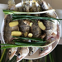 清蒸野生桂鱼的做法图解4