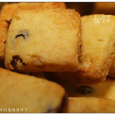 经典美味的蔓越莓饼干