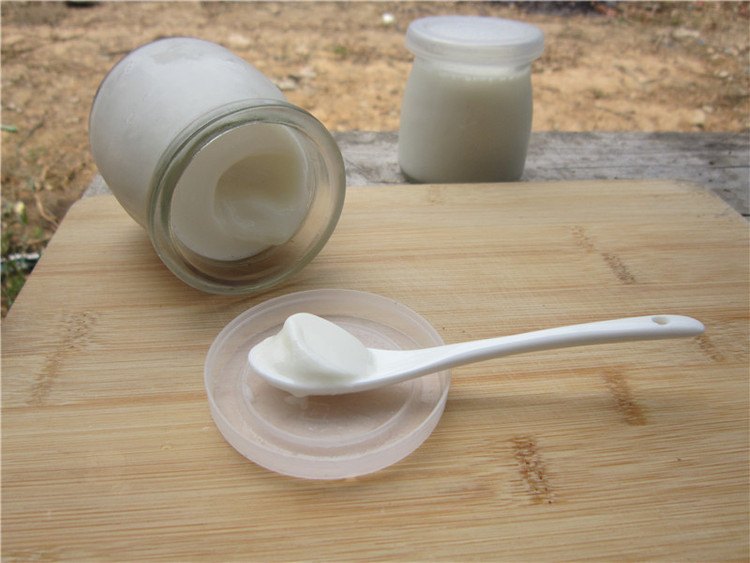 电炖锅制作酸奶的做法