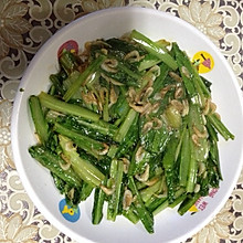 虾皮油麦菜