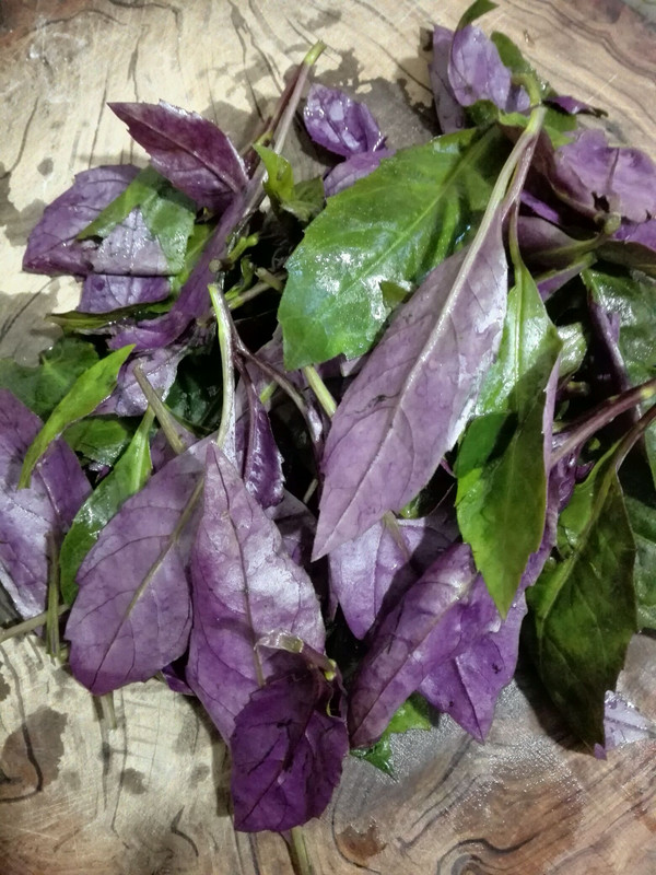 鲜嫩的血碧菜,择好,洗净,沥干水分