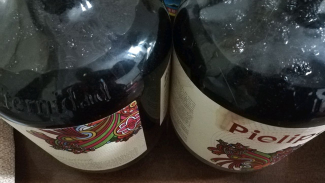 潮汕桑葚酒泡法的做法