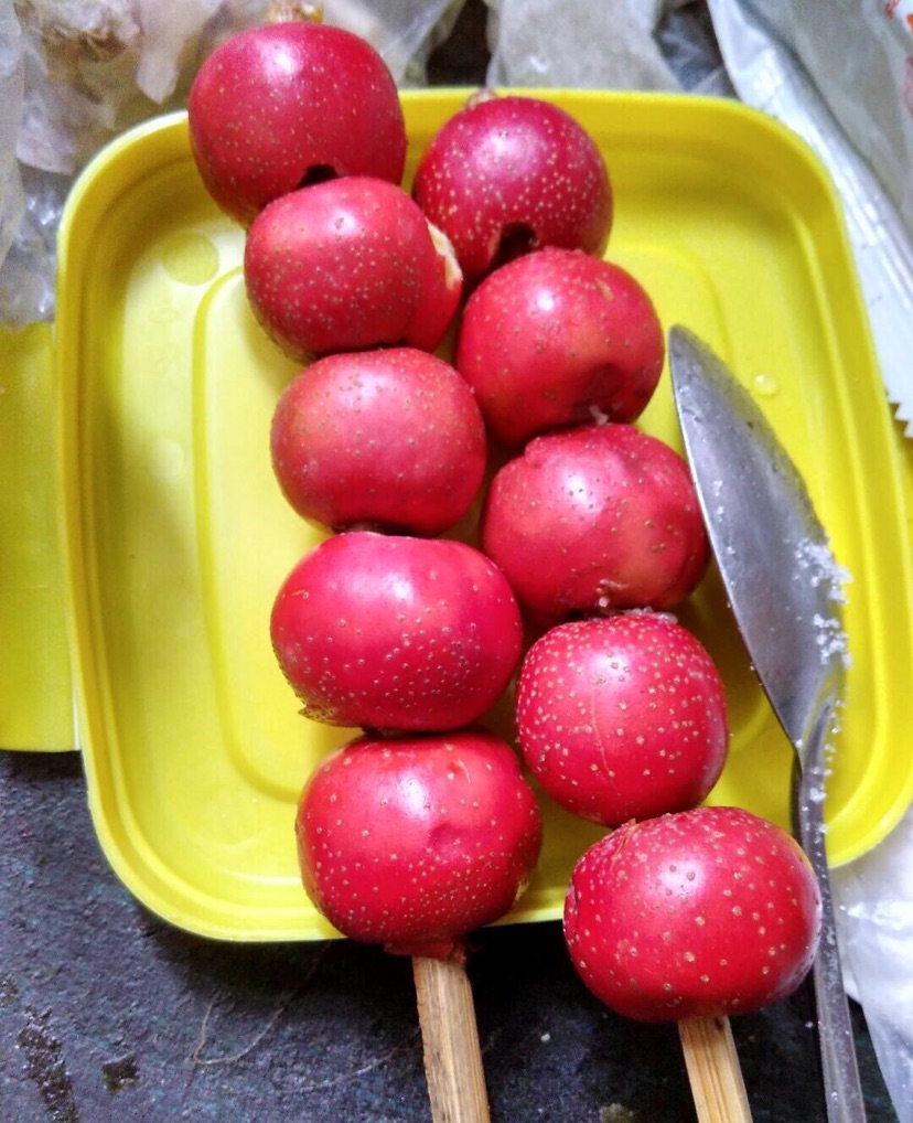 自制冰糖葫芦（分享）的做法图解2