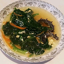 木耳菜海参汤