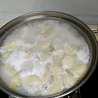 韭菜肉水饺#金龙鱼外婆乡小榨菜籽油 最强家乡菜#的做法图解15