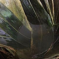 潮汕栀粽的做法图解5