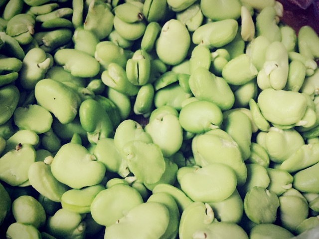 虾仁蚕豆鲜的做法图解1