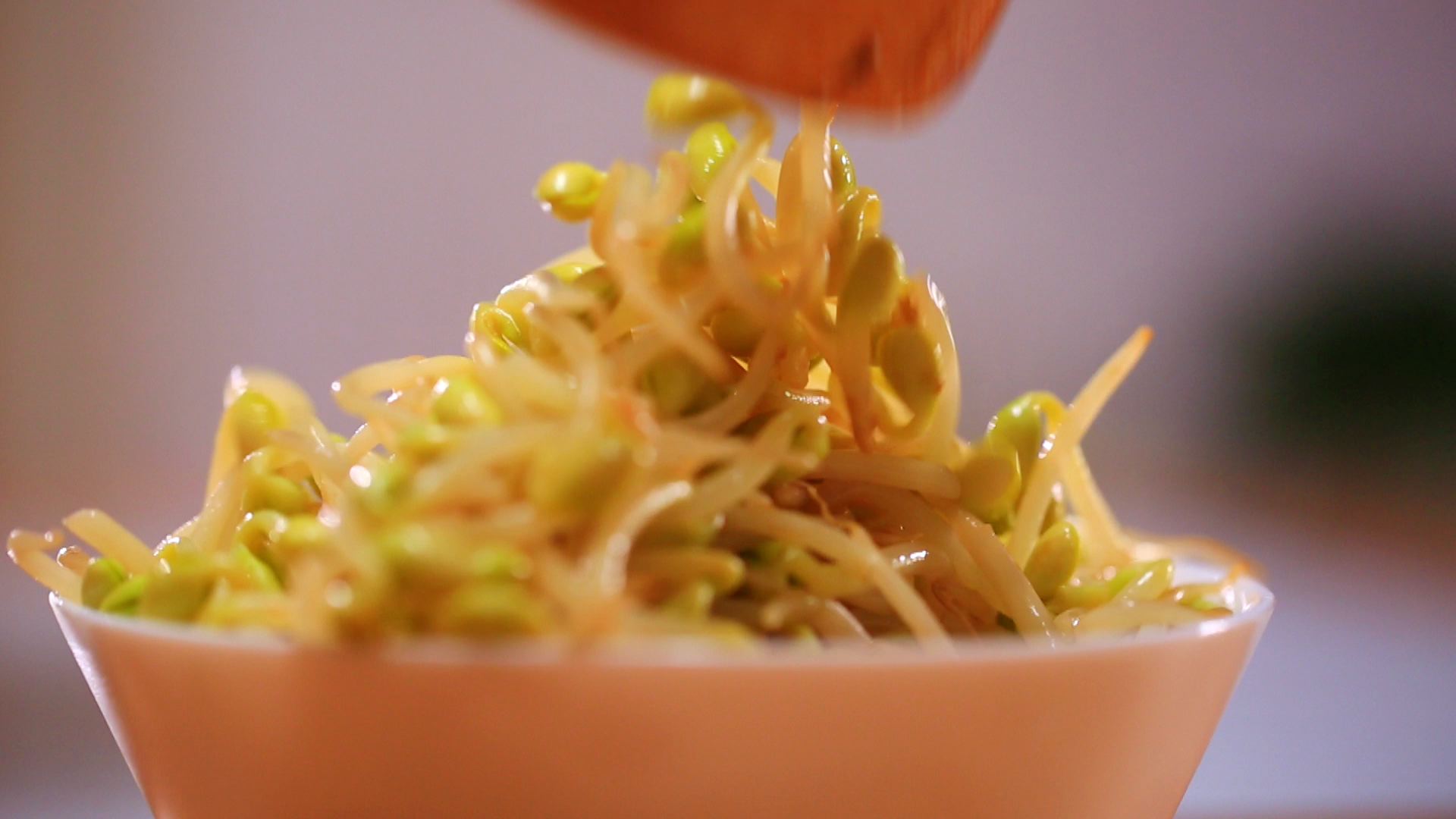 黄豆芽怎么做_黄豆芽的做法视频_蓉小厨_豆果美食