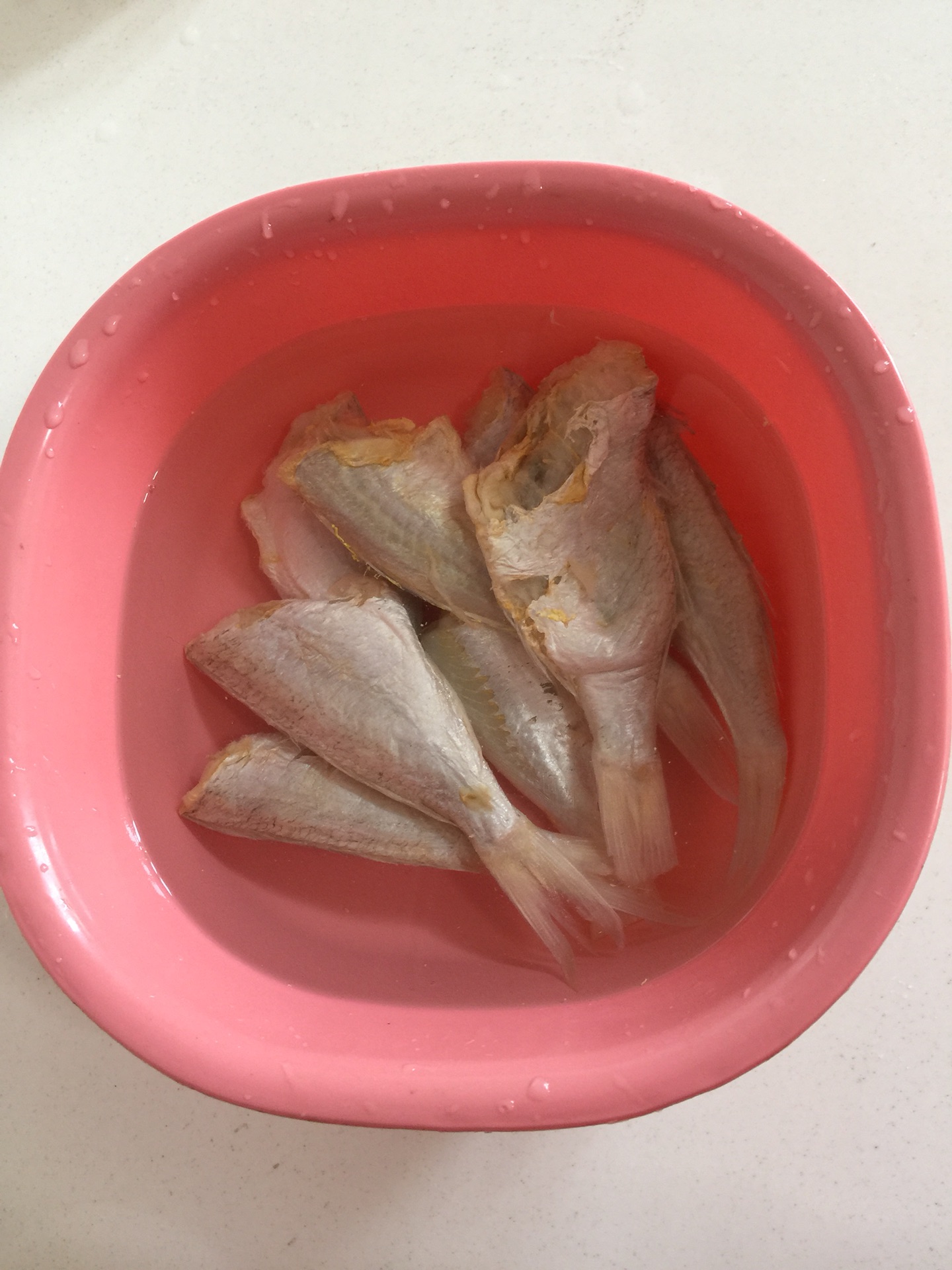 罐头鱼怎么做_罐头鱼的做法_豆果美食
