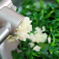 凉拌穿心莲的做法图解5