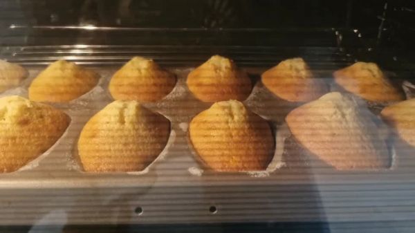 马德琳贝壳蛋糕
