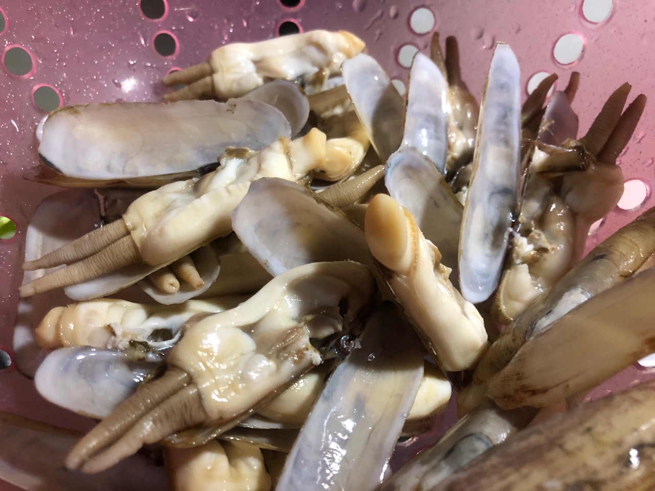 饮食文化 篇五：海蛏子应该怎么清洗？分享一种海蛏子的做法，好吃到停不下来。_海鲜水产_什么值得买