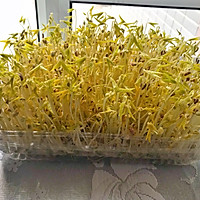 水煮巴沙鱼的做法图解1