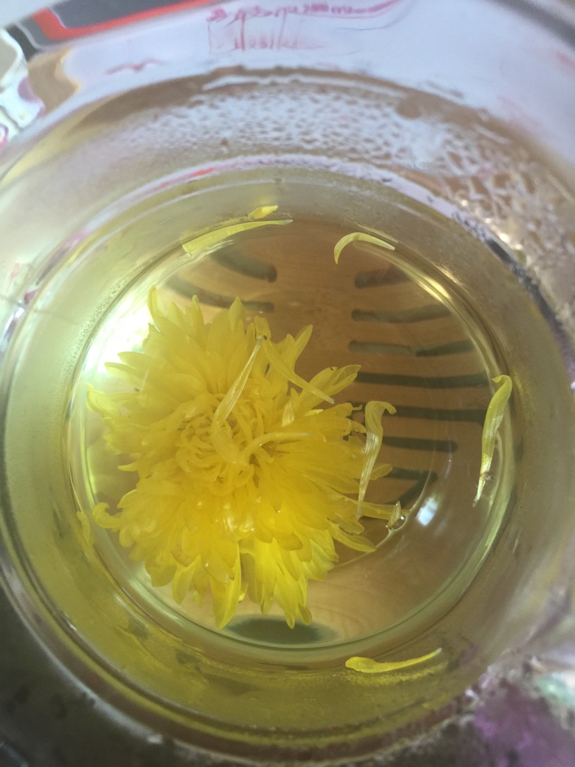 菊花茶