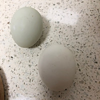 乌鸡蛋炒馒头丁的做法图解2