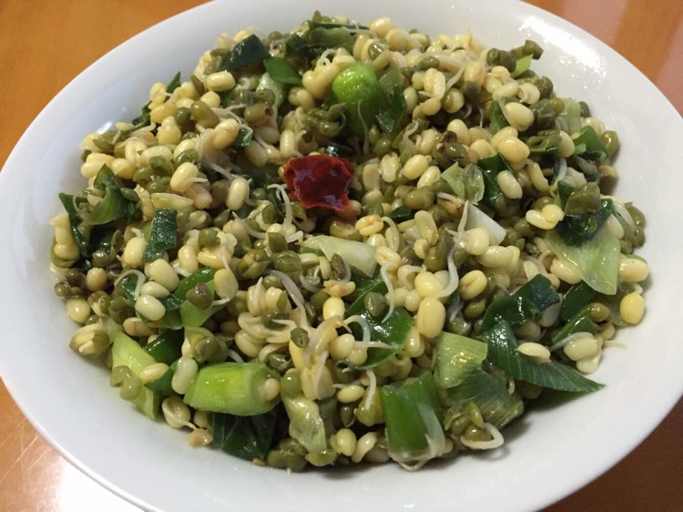 简易发绿豆芽