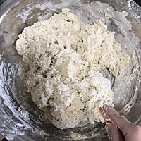 猪肉茴香包子的做法图解6