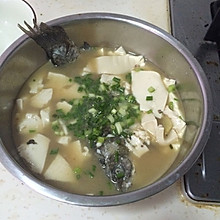 鯽魚豆腐汤