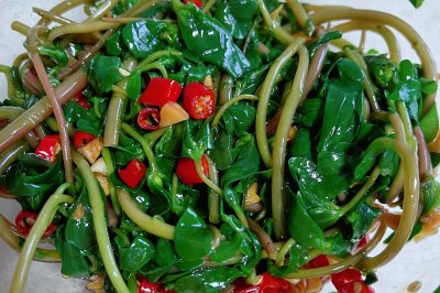 超简单的开胃野菜--马齿苋
