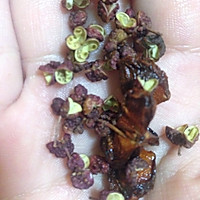 麻辣花甲的做法图解2