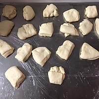 椰蓉蔓越莓小餐包的做法图解4